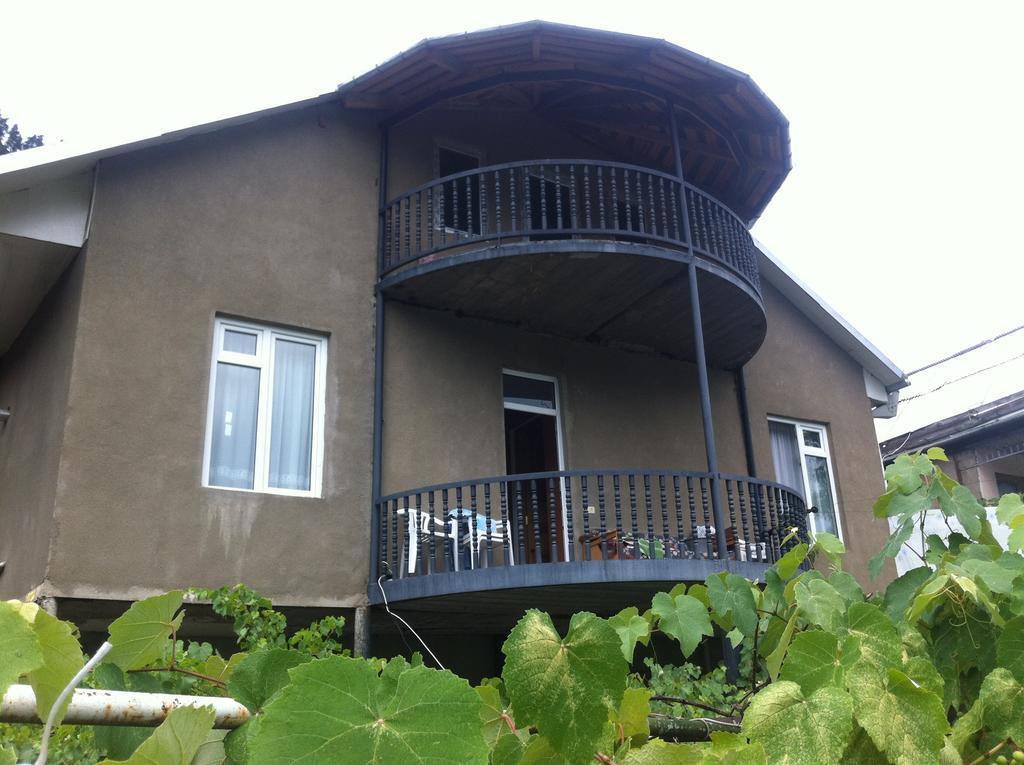 Grimis Villa Borjomi Ngoại thất bức ảnh